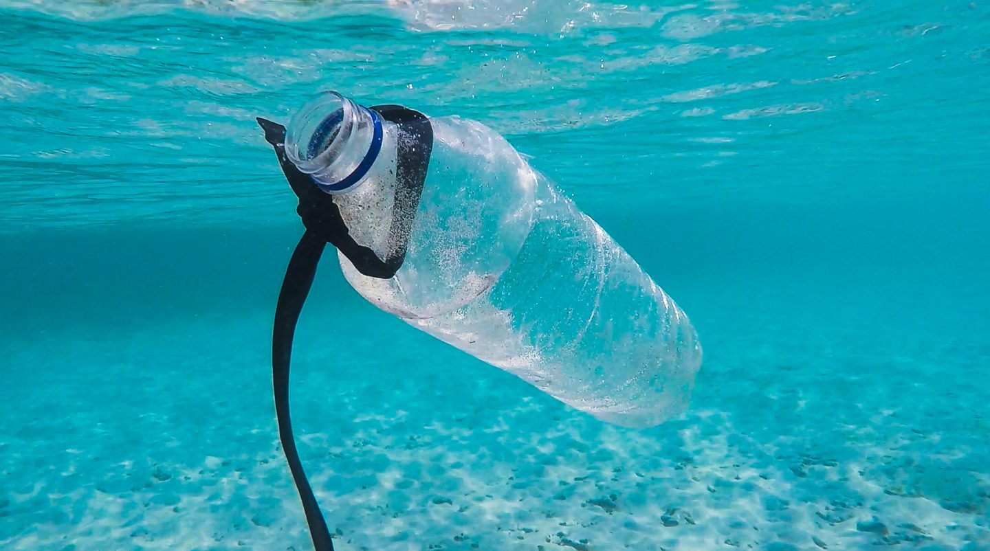 Interaktive Weltkarte Zeigt Plastikverschmutzung Der Ozeane Wwf „plastik Ist Bis In Den 